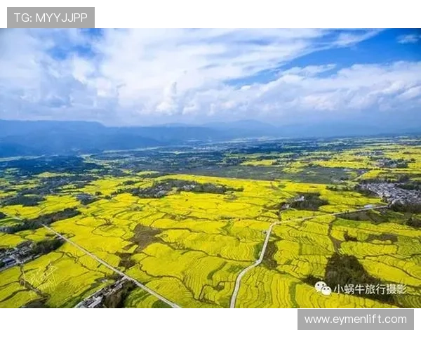开云体育赌博如何选择正规平台避免资金被骗的实用技巧分享 开云体育赌博如何选择正规平台避免资金被骗的实用技巧分享
